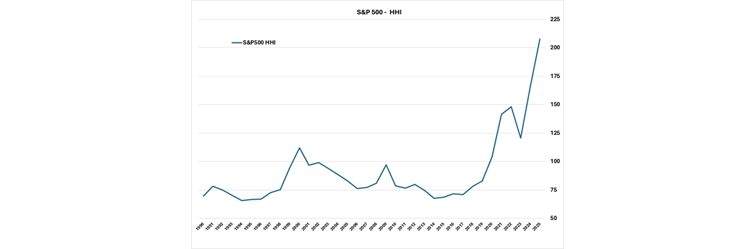 HHI for S&P 500