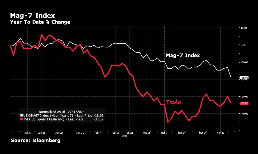 Mag 7 and Tesla, Year to Date